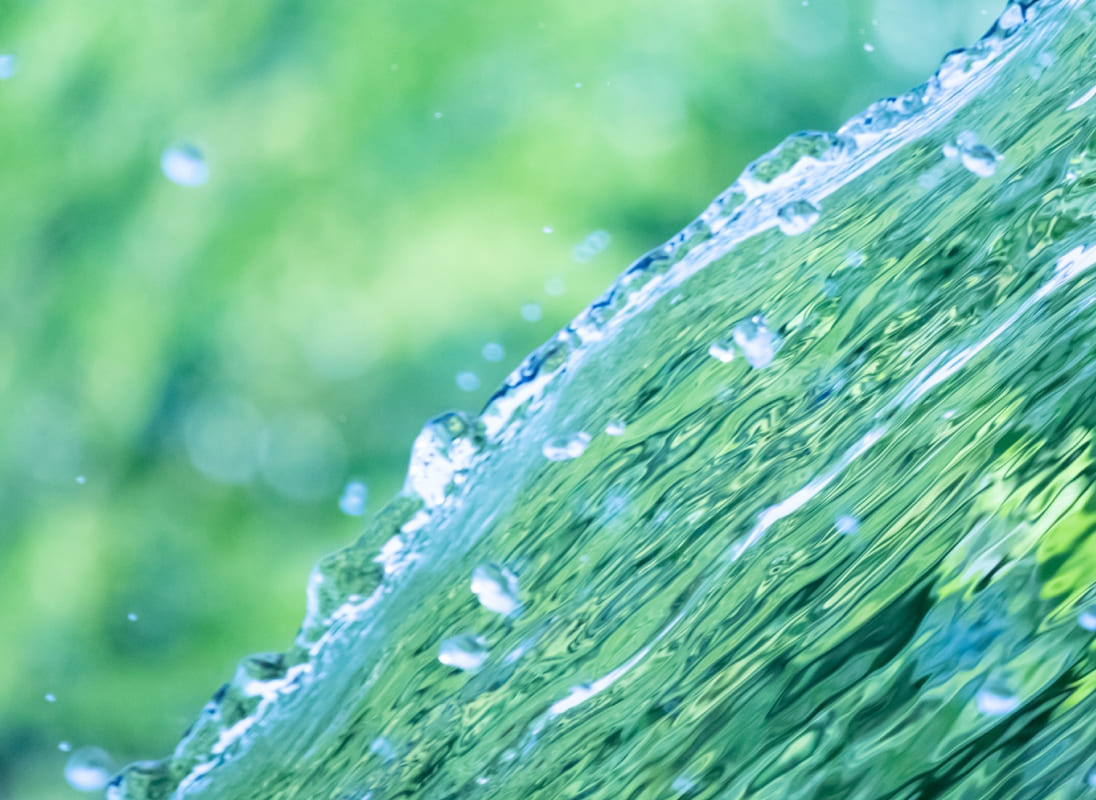 地球と地域、家庭にやさしい循環を「サスティナビリティ商品の使用」